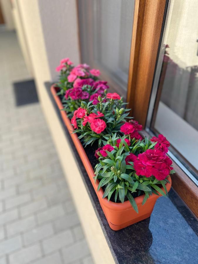 Giadda Rooms Borsa  Exterior photo
